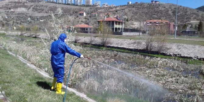 Kızılcahamam ‘sineksiz yaza’ hazırlanıyor