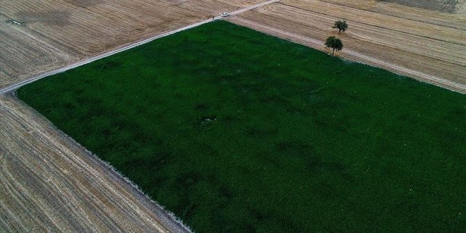 Tohumlama ve embriyo transferi başvuruları elektronik ortamda yapılabilecek