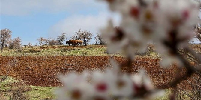 İyi ve organik tarım uygulamalarına 'mücbir sebep' düzenlemesi