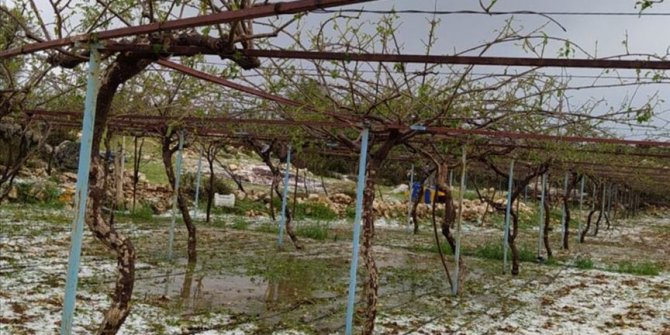 Mersin'de etkili olan dolu tarım alanlarına zarar verdi
