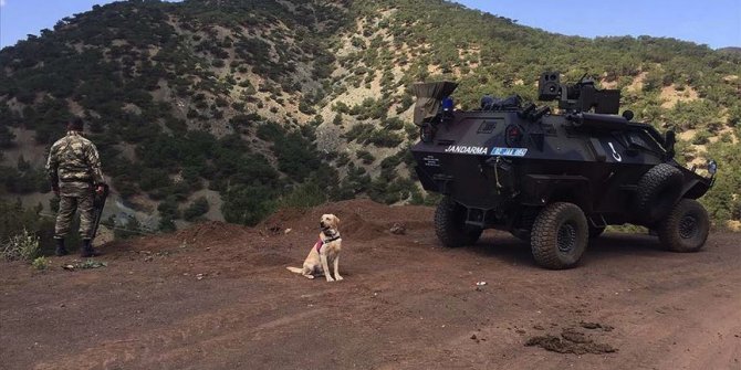 Adıyaman kırsalında 3 terörist etkisiz hale getirildi