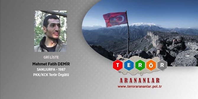 Tunceli'de etkisiz hale getirilen 3 teröristten birinin gri kategoriden olduğu belirlendi