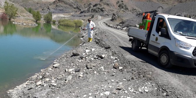 Yenimahalle’den sulak alanlarda larva mücadelesi