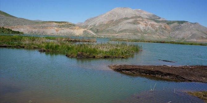 Adıyaman'daki yüzen adaların bir kısmı kıyıya yaklaştı