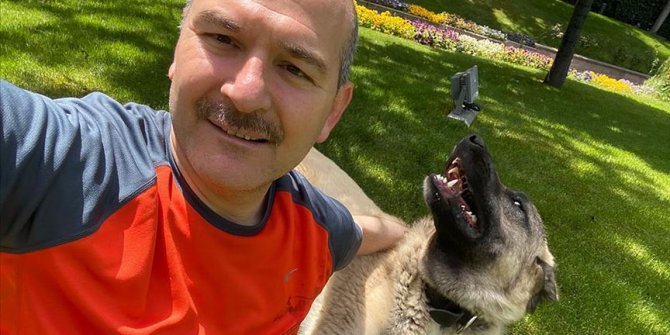 İçişleri Bakanı Süleyman Soylu sahiplendiği sokak köpeklerinin fotoğraflarını paylaştı