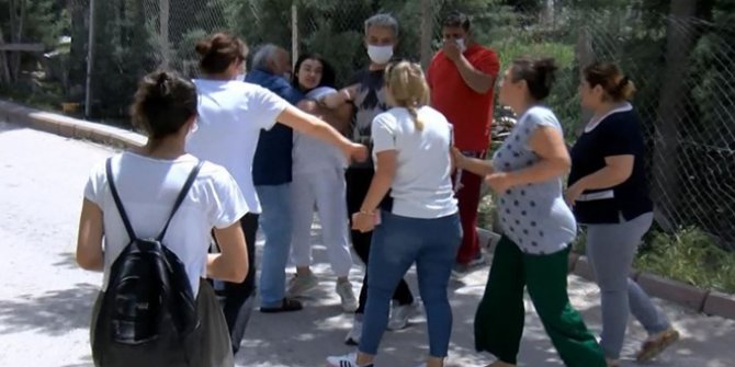 Köpek besleme kavgası...