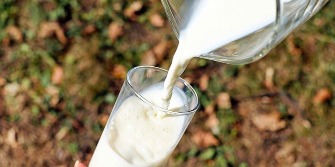 Süt sektöründe Çin'e ihracat hareketliliği