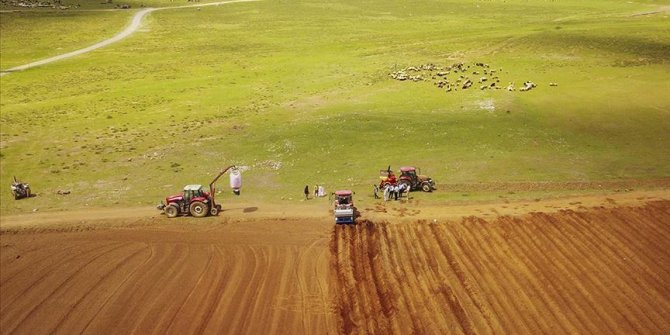 Bitlis'te sertifikalı patates tohumu ekimine başlandı