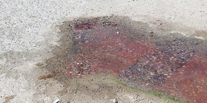 Denizli'de korkutan görüntü