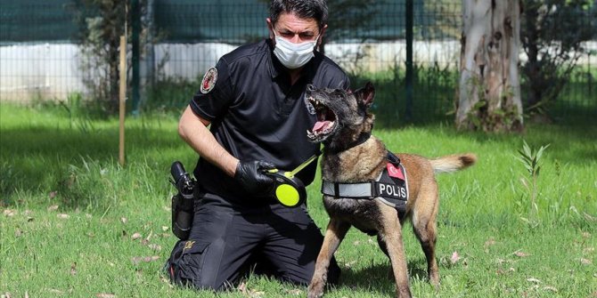 Narkotik köpeği Çayra tecrübesini konuşturuyor
