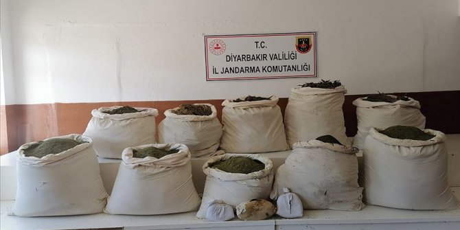 Diyarbakır'da 2 milyon 452 bin 500 kök Hint keneviri ele geçirildi