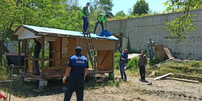 Ordu'da sahillerdeki kaçak yapılar kaldırılıyor