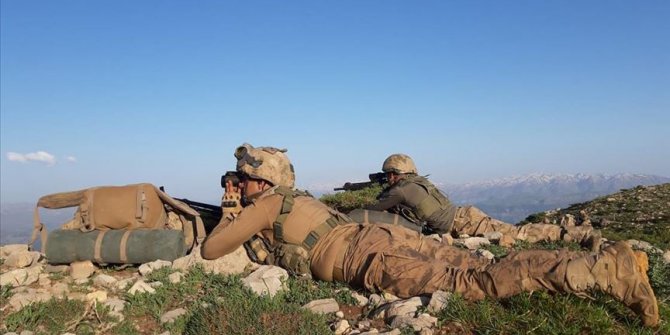 Bitlis'te 2 terörist etkisiz hale getirildi