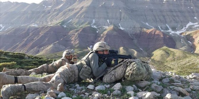 Bitlis'te 2 terörist daha etkisiz hale getirildi