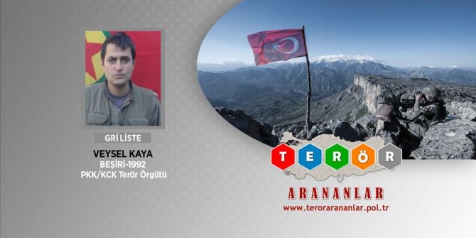 Bitlis'te öldürülen PKK'lı terörist, gri listede çıktı