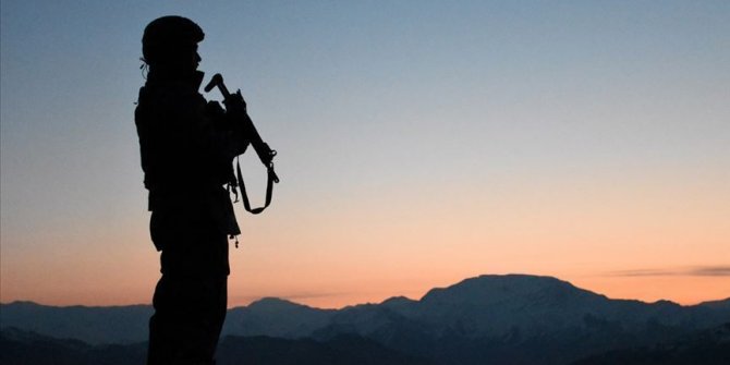 Mardin'de 2 terörist etkisiz hale getirildi