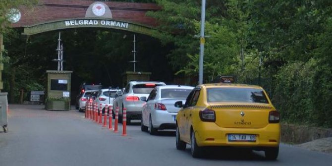 Belgrad Ormanı'na akın ettiler