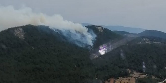 Muğla'da çıkan orman yangını büyüyor