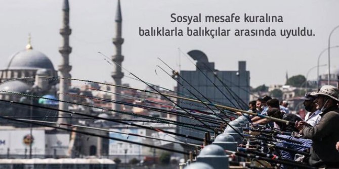 Bakan Koca'dan balıkçılara 'sosyal mesafe' tepkisi: Rast gelmesin