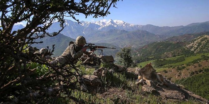 Şırnak, Elazığ ve Diyarbakır'da 6 terörist etkisiz hale getirildi