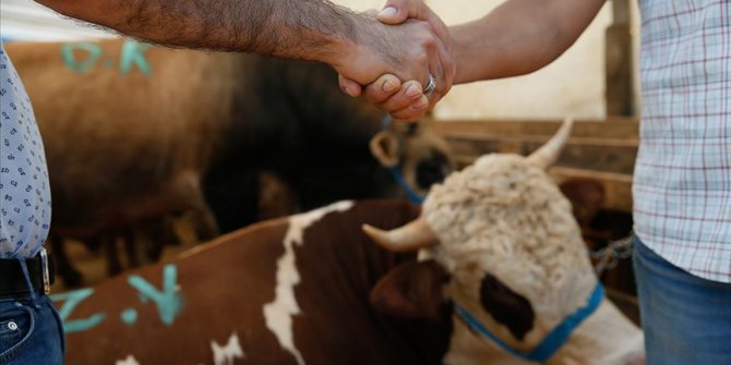 Kurban Bayramı ve öncesinde hayvan satış yerlerine yönelik önlemler belirlendi
