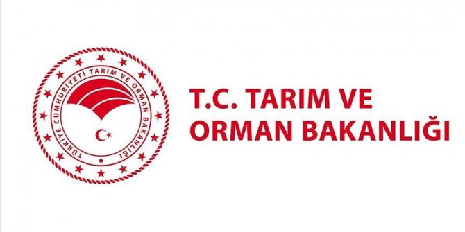 Tarım ve Orman Bakanlığı: “Şap hastalığı ülke genelinde kontrol altına alındı”