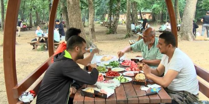Belgrad Ormanı'na piknikçi akını