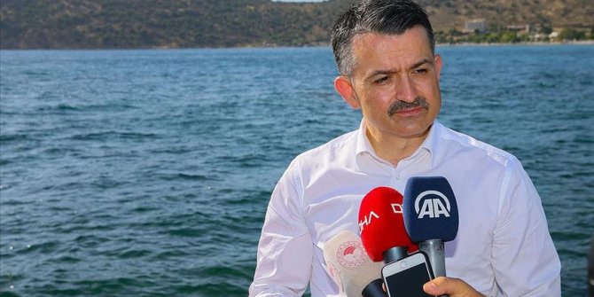Bakan Pakdemirli: Su ürünleri sektörü salgın sürecini yara almadan atlattı