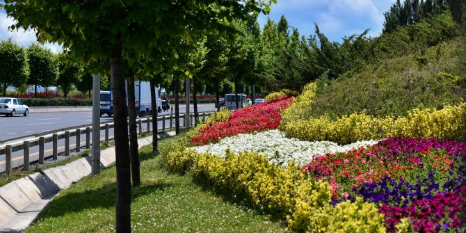 Başkent’in caddeleri rengarenk