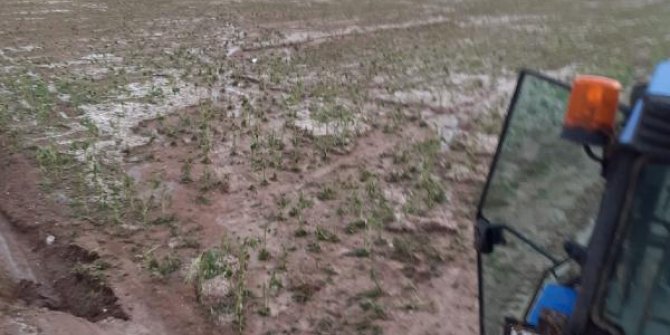 Tokat'ta dolu tarım arazilerine zarar verdi