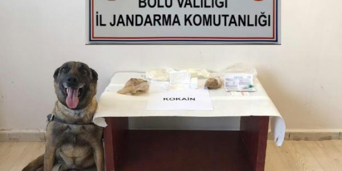 Yolcu otobüsünde uyuşturucu ile yakalanan kişi gözaltına alındı