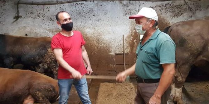 Kurbanlık alışverişinde el sıkışmadan değnekli pazarlık