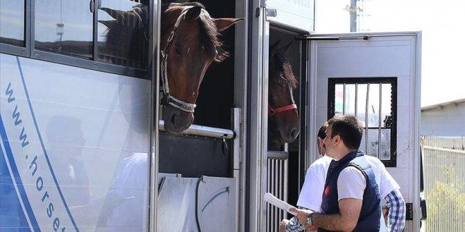 Kapıkule'de Veteriner Sınır Kontrol Noktası'nın yapımında sona gelindi