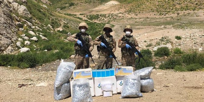 Hakkari, Van ve Iğdır sınır hattında arama tarama faaliyetleri