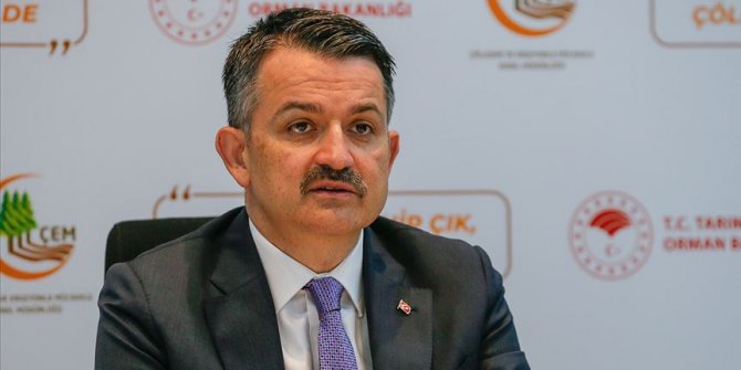 Bakan Pakdemirli'den destek ödemesi açıklaması