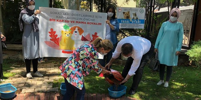 AK Parti Kadın Kollarından 81 ilde 'Bir Kap Su Bir Kap Mama' kampanyası