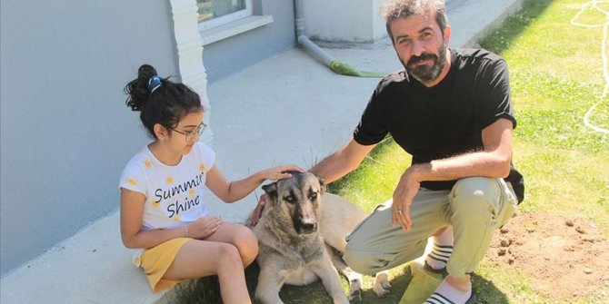 Emekli başçavuşun köpek sevgisi mesafe tanımadı