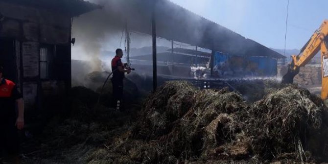 Aydın'da, kömür deposundaki yangın korkuttu