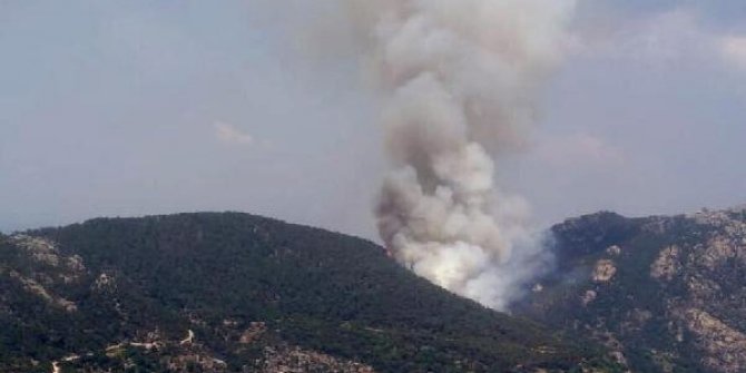 Milas'ta çıkan orman yangını, büyümeden kontrol altına alındı