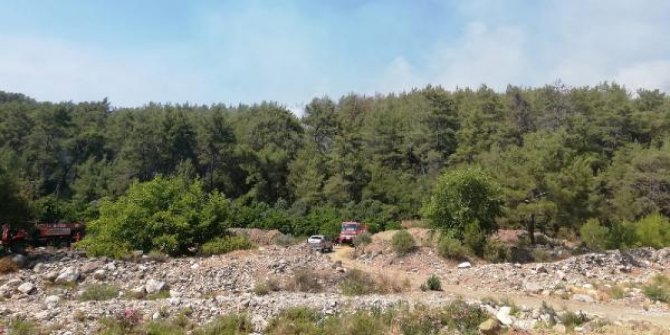 Kumluca'da orman yangını