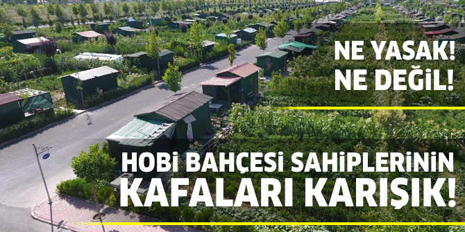 Hobi bahçesi sahipleri kafaları karışık!