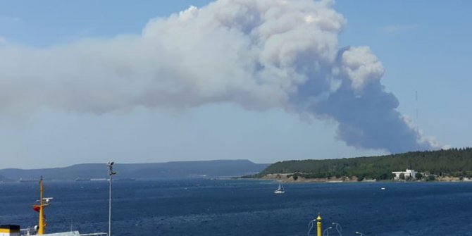 Çanakkale'de orman yangını
