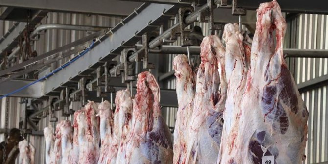 Kurbanlık kesiminin kasaplara yaptırılması et kaybını önlüyor
