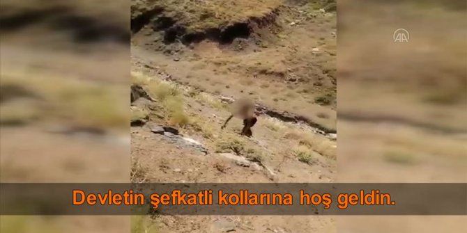 Hakkari'de bir terörist teslim oldu