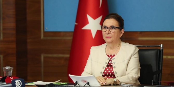 Pekcan: Ekonomik tabloda normale dönüşle ilgili olumlu sinyalleri almaya başladık