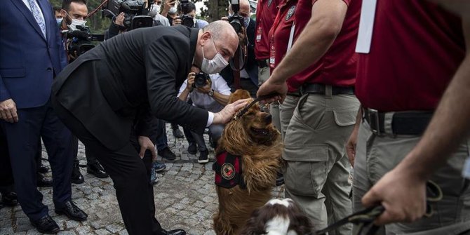 İçişleri Bakanı Soylu: Yakalamaların yüzde 46'sı narkotik köpekleri marifetiyle gerçekleştirilmiştir