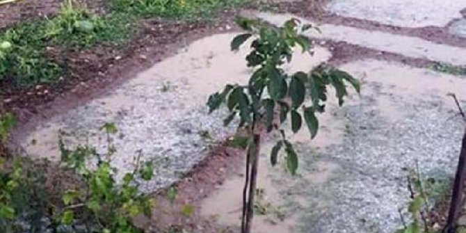 Yozgat'ta dolu ve sağanak ekili alanlara zarar verdi