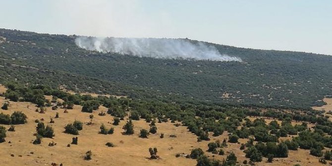 Kilis’te orman yangını