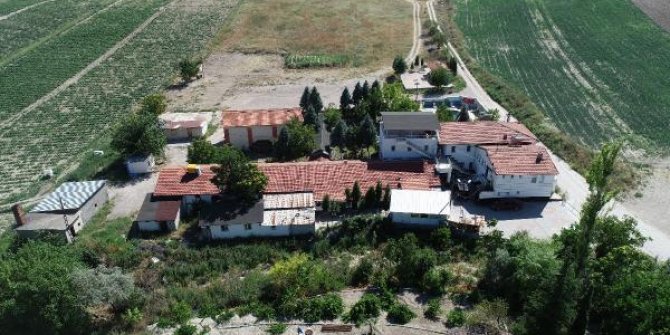 Kadınların fuhuşa zorlandığı gazino daha önce ahırmış