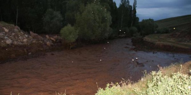Varto'da yağmur suları tarım arazilerini tahrip etti